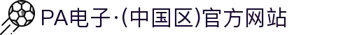 PA电子·(中国区)官方网站